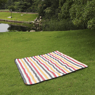 Wayfair picnic blanket new arrivals